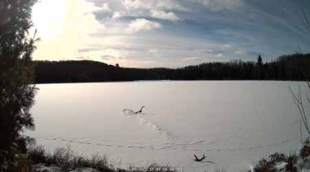 Image from 2025-01-07