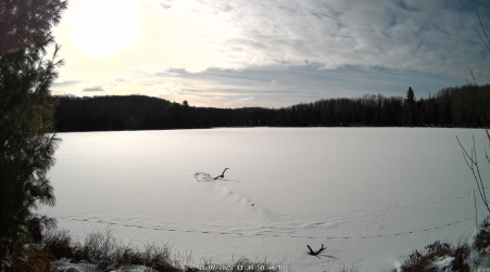 Image from 2025-01-07
