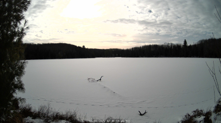 Image from 2025-01-07