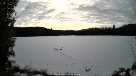 Image from 2025-01-07