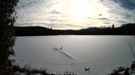 Image from 2025-01-07
