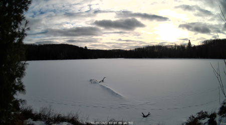 Image from 2025-01-07