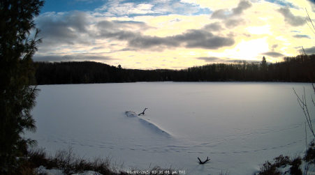 Image from 2025-01-07