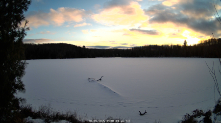 Image from 2025-01-07