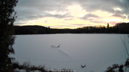 Image from 2025-01-07