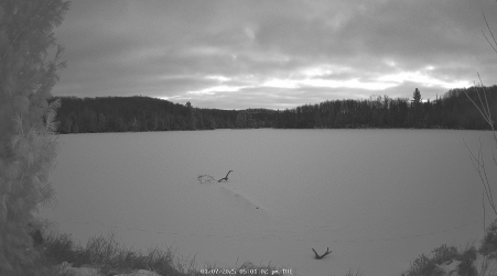 Image from 2025-01-07
