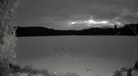 Image from 2025-01-07