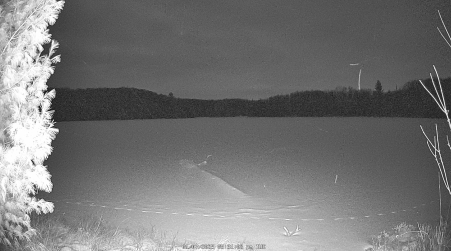 Image from 2025-01-07