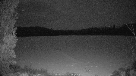 Image from 2025-01-07