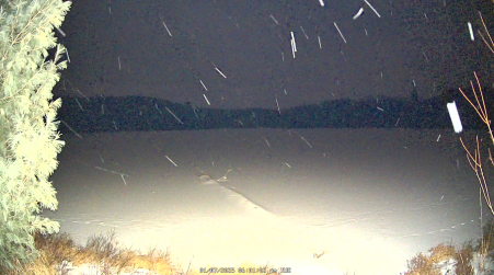 Image from 2025-01-07