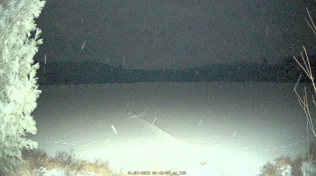 Image from 2025-01-07