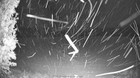 Image from 2025-01-07