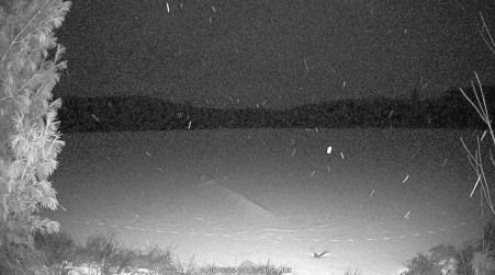 Image from 2025-01-07