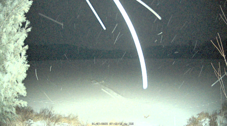 Image from 2025-01-07
