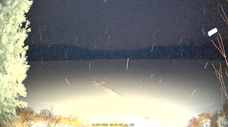 Image from 2025-01-07