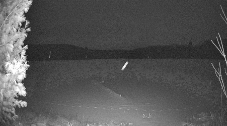 Image from 2025-01-07