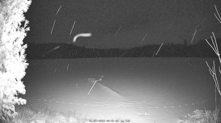 Image from 2025-01-07