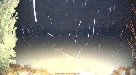 Image from 2025-01-07