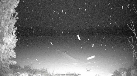 Image from 2025-01-07
