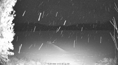 Image from 2025-01-07