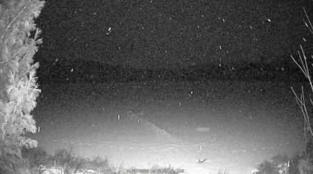 Image from 2025-01-07