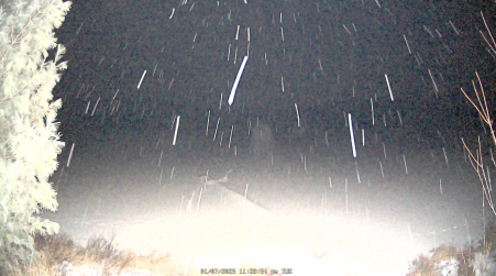 Image from 2025-01-07