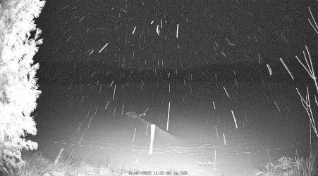 Image from 2025-01-07
