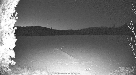 Image from 2025-01-09