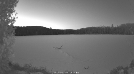Image from 2025-01-09