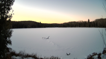 Image from 2025-01-09