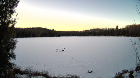 Image from 2025-01-09