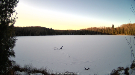 Image from 2025-01-09