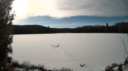 Image from 2025-01-09