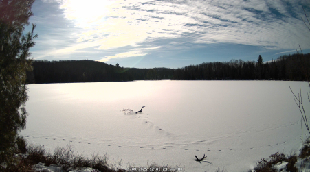 Image from 2025-01-09