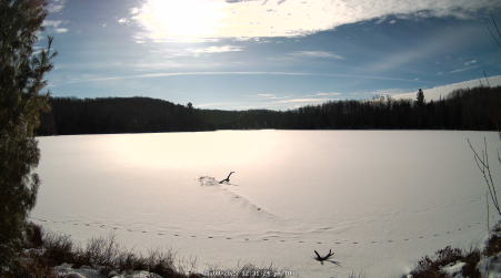 Image from 2025-01-09