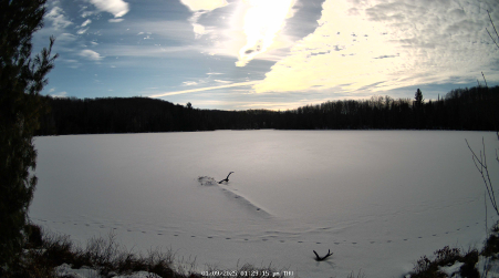 Image from 2025-01-09