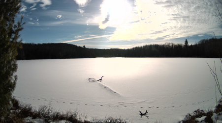 Image from 2025-01-09