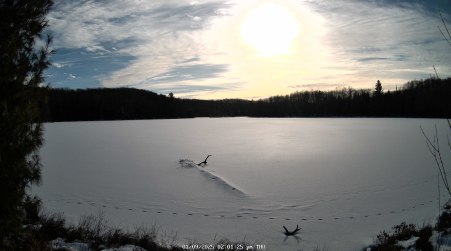Image from 2025-01-09