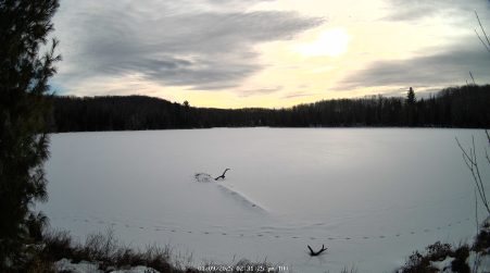 Image from 2025-01-09