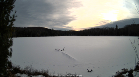 Image from 2025-01-09