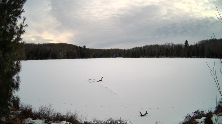 Image from 2025-01-09