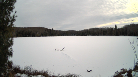 Image from 2025-01-09