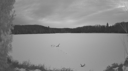 Image from 2025-01-09