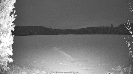 Image from 2025-01-09