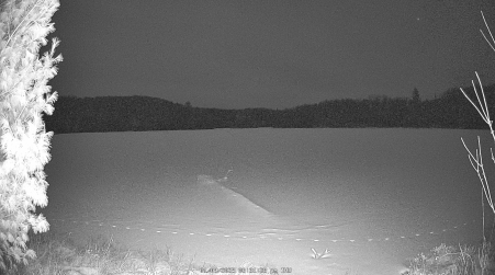 Image from 2025-01-09