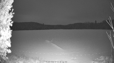 Image from 2025-01-09