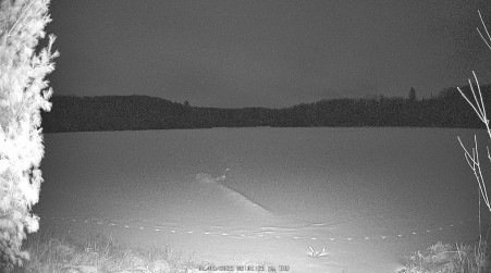 Image from 2025-01-09