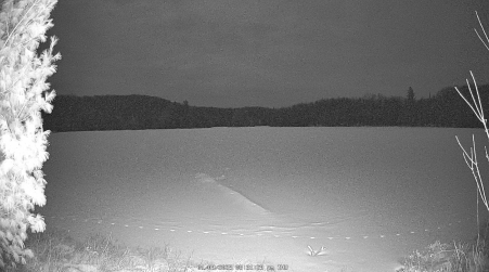 Image from 2025-01-09