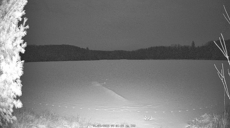 Image from 2025-01-09