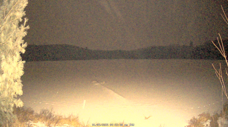 Image from 2025-01-09